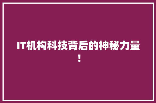 IT机构科技背后的神秘力量！ 项目报告