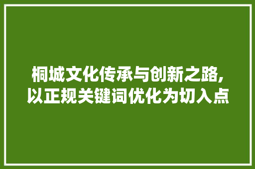 桐城文化传承与创新之路,以正规关键词优化为切入点_桐城正规关键词优化