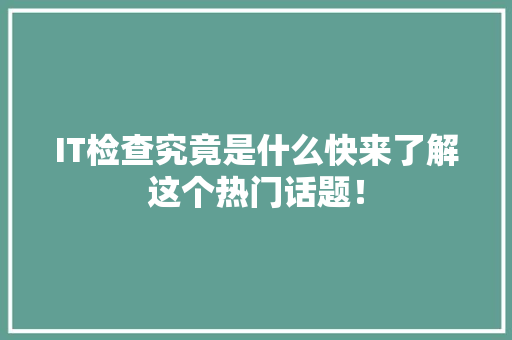 IT检查究竟是什么快来了解这个热门话题！