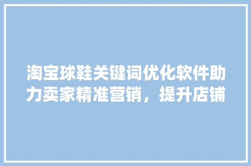 淘宝球鞋关键词优化软件助力卖家精准营销，提升店铺销量_淘宝球鞋关键词优化软件