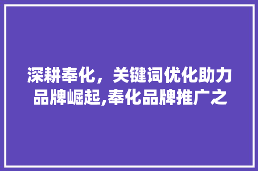 深耕奉化，关键词优化助力品牌崛起,奉化品牌推广之路_奉化关键词优化排名推广