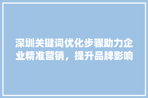 深圳关键词优化步骤助力企业精准营销，提升品牌影响力_深圳搜索关键词怎么优化