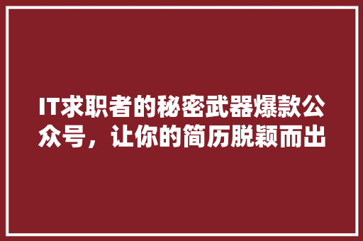 IT求职者的秘密武器爆款公众号，让你的简历脱颖而出！ 后端技术