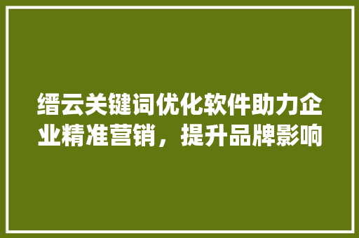 缙云关键词优化软件助力企业精准营销，提升品牌影响力_缙云关键词优化软件
