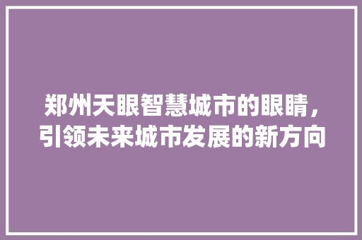 郑州天眼智慧城市的眼睛，引领未来城市发展的新方向_郑州天眼关键词优化推广