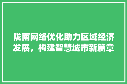 陇南网络优化助力区域经济发展，构建智慧城市新篇章_陇南网络优化关键词