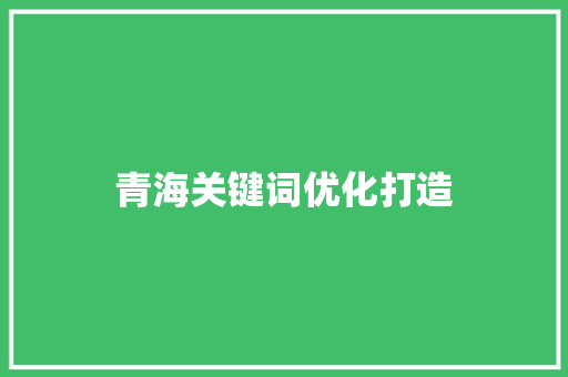 青海关键词优化打造