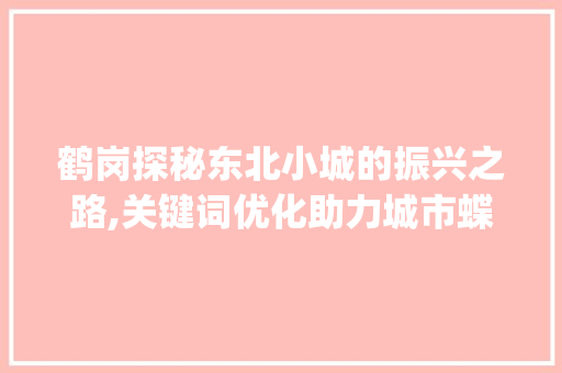 鹤岗探秘东北小城的振兴之路,关键词优化助力城市蝶变_鹤岗关键词优化排名