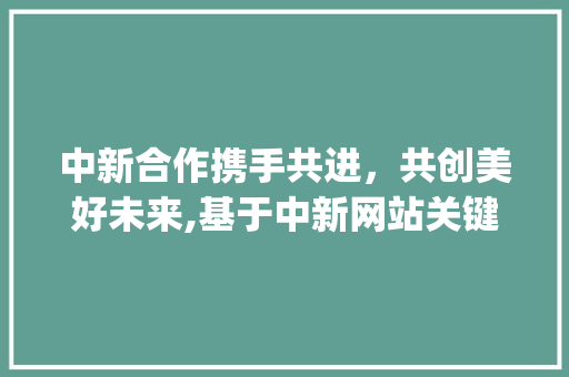 中新合作携手共进，共创美好未来,基于中新网站关键词优化的详细讨论_中新网站关键词优化