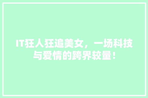 IT狂人狂追美女，一场科技与爱情的跨界较量！ 项目报告