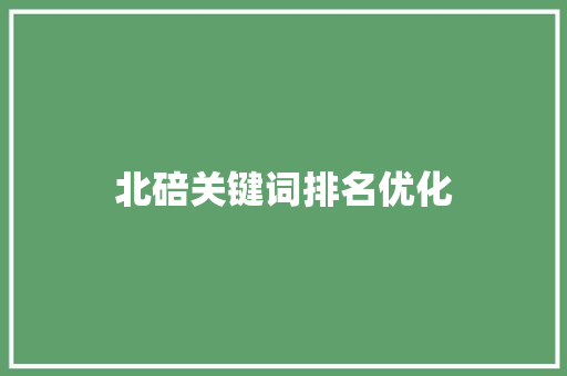 北碚关键词排名优化