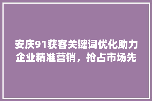 安庆91获客关键词优化助力企业精准营销，抢占市场先机_安庆91获客关键词优化