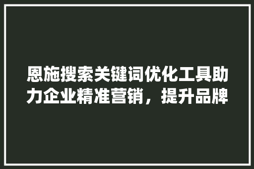 恩施搜索关键词优化工具助力企业精准营销，提升品牌影响力_恩施搜索关键词优化工具