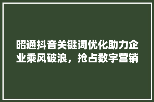 昭通抖音关键词优化助力企业乘风破浪，抢占数字营销制高点_昭通抖音关键词优化公司