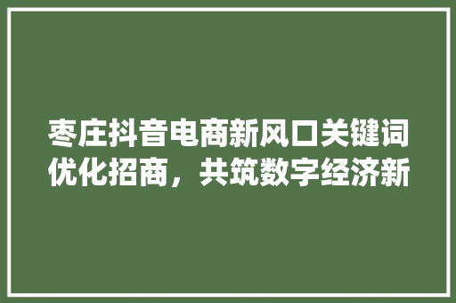 枣庄抖音电商新风口关键词优化招商，共筑数字经济新生态_枣庄抖音关键词优化招商