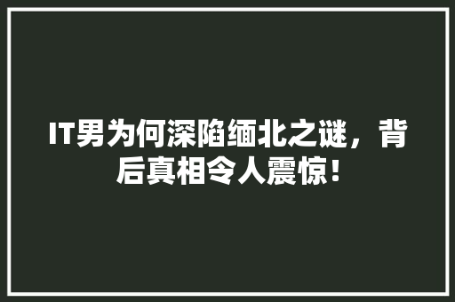 IT男为何深陷缅北之谜，背后真相令人震惊！