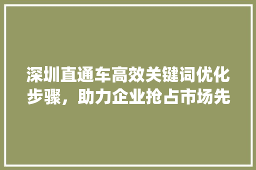 深圳直通车高效关键词优化步骤，助力企业抢占市场先机_深圳直通车关键词优化