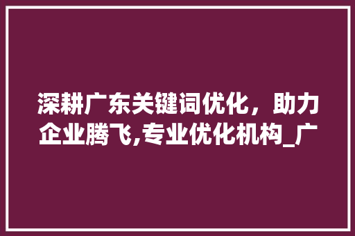深耕广东关键词优化，助力企业腾飞,专业优化机构_广东关键词优化哪家好