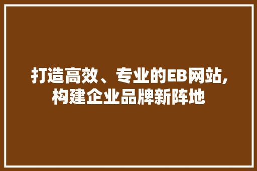 打造高效、专业的EB网站,构建企业品牌新阵地 网站建设
