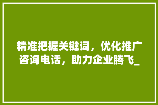 精准把握关键词，优化推广咨询电话，助力企业腾飞_关键词优化推广咨询电话