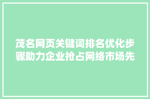茂名网页关键词排名优化步骤助力企业抢占网络市场先机_茂名网页关键词排名优化
