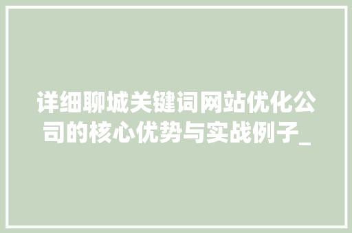 详细聊城关键词网站优化公司的核心优势与实战例子_聊城关键词网站优化公司