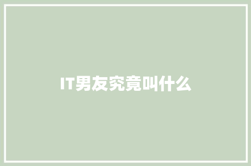 IT男友究竟叫什么