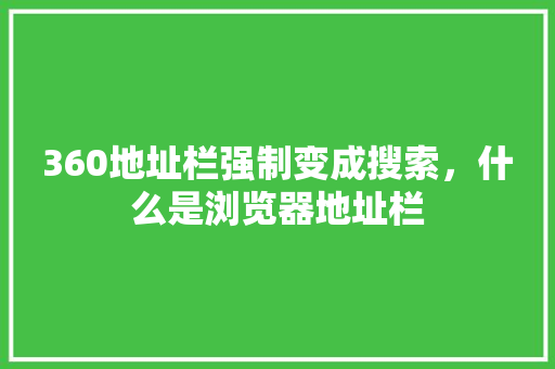 360地址栏强制变成搜索，什么是浏览器地址栏