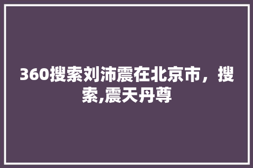 360搜索刘沛震在北京市，搜索,震天丹尊