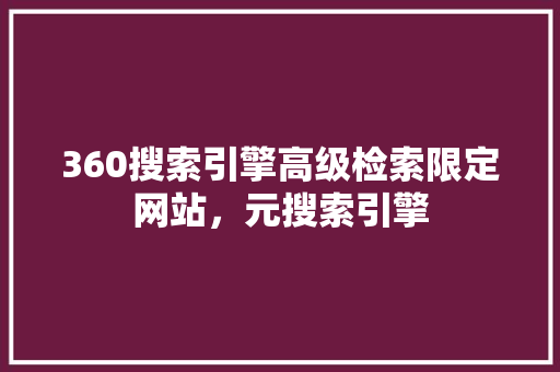360搜索引擎高级检索限定网站，元搜索引擎