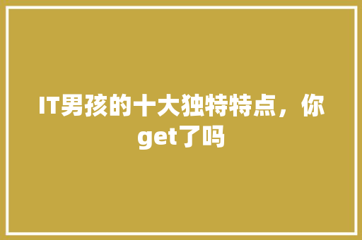 IT男孩的十大独特特点，你get了吗