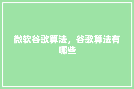 微软谷歌算法，谷歌算法有哪些