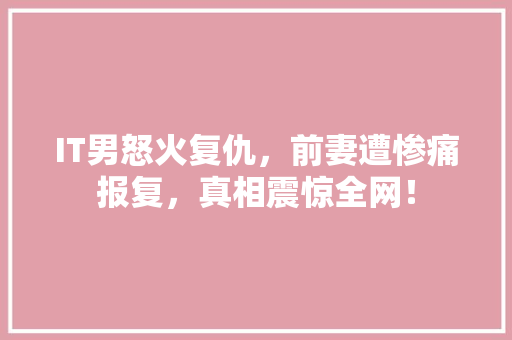 IT男怒火复仇，前妻遭惨痛报复，真相震惊全网！
