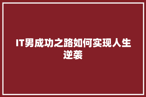 IT男成功之路如何实现人生逆袭