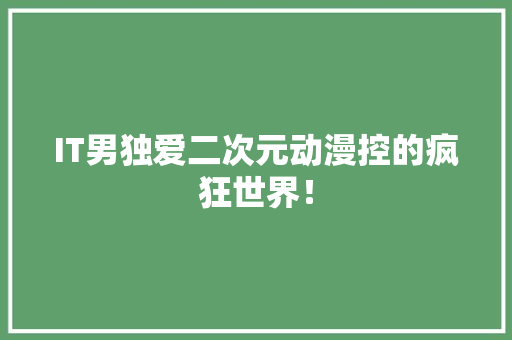 IT男独爱二次元动漫控的疯狂世界！