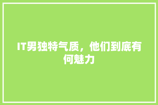 IT男独特气质，他们到底有何魅力 项目报告