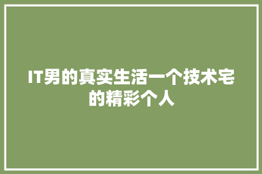 IT男的真实生活一个技术宅的精彩个人 网站建设