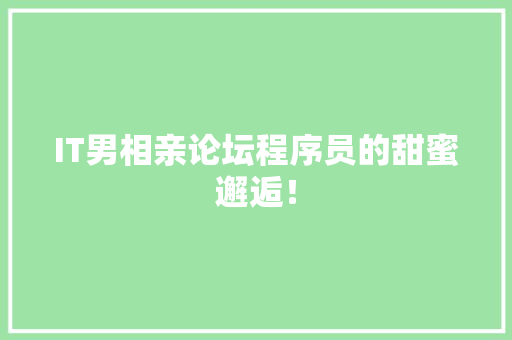 IT男相亲论坛程序员的甜蜜邂逅！ 商务信函