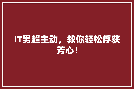 IT男超主动，教你轻松俘获芳心！