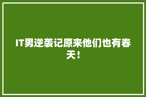 IT男逆袭记原来他们也有春天！ 网站建设