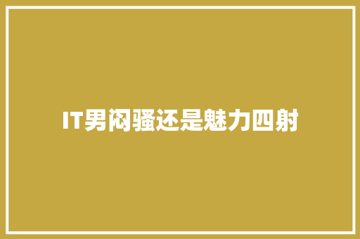 IT男闷骚还是魅力四射