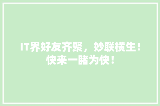 IT界好友齐聚，妙联横生！快来一睹为快！