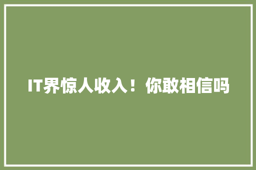 IT界惊人收入！你敢相信吗 网站建设