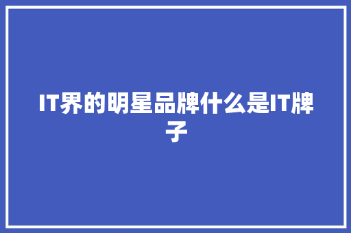 IT界的明星品牌什么是IT牌子 前端技术