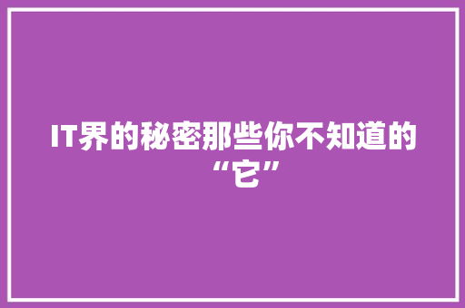 IT界的秘密那些你不知道的“它” 前端技术