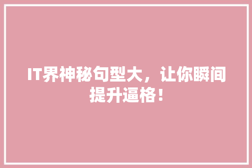 IT界神秘句型大，让你瞬间提升逼格！