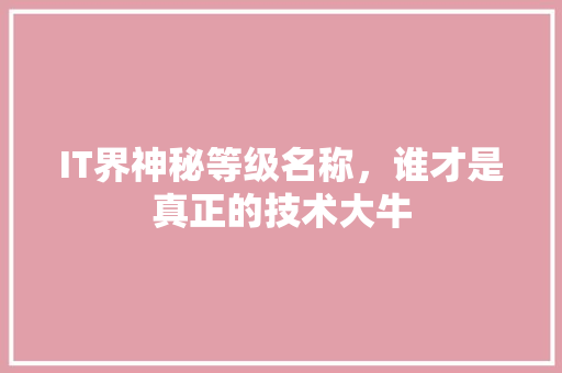 IT界神秘等级名称，谁才是真正的技术大牛 商务信函