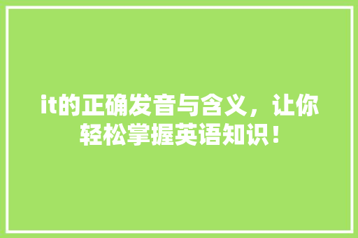 it的正确发音与含义，让你轻松掌握英语知识！ 后端技术