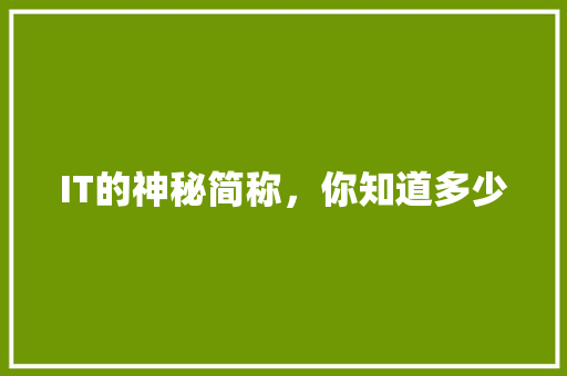 IT的神秘简称，你知道多少