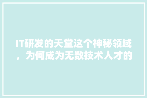 IT研发的天堂这个神秘领域，为何成为无数技术人才的梦想聚集地